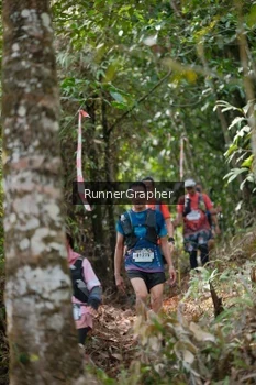 Runner Photo 5264128