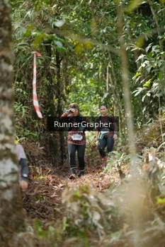 Runner Photo 5264135
