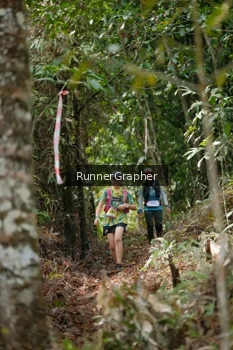 Runner Photo 5264150