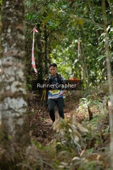 Runner Photo 5264167