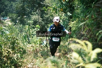 Runner Photo 5264168