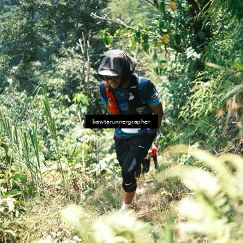 Runner Photo 5264170