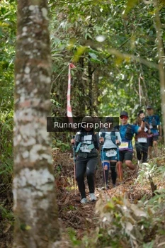 Runner Photo 5264175