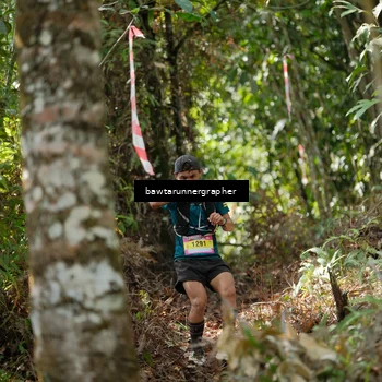 Runner Photo 5264192