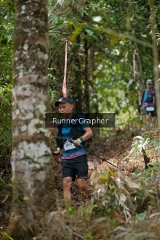 Runner Photo 5264200