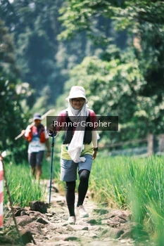 Runner Photo 5264201