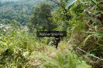 Runner Photo 5264202