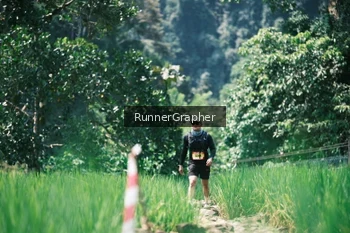 Runner Photo 5264211
