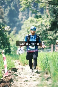 Runner Photo 5264218
