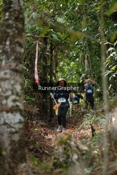 Runner Photo 5264234