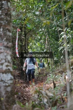 Runner Photo 5264238