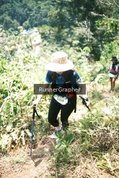 Runner Photo 5264239