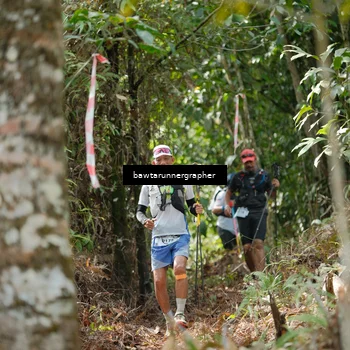 Runner Photo 5264248
