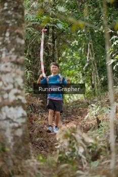 Runner Photo 5264281