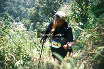 Runner Photo 5264289