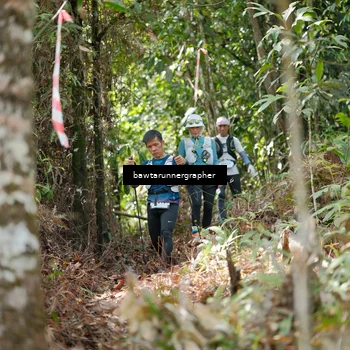 Runner Photo 5264324