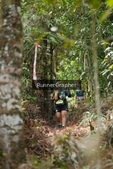 Runner Photo 5264385