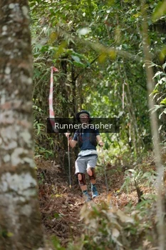 Runner Photo 5264386
