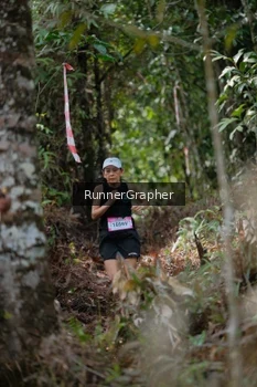 Runner Photo 5264400