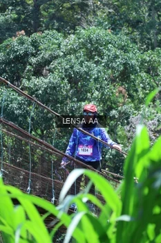 Runner Photo 5264453