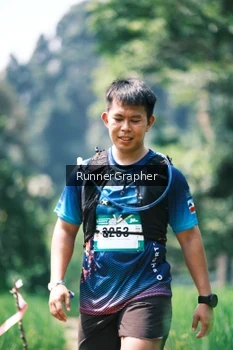 Runner Photo 5264462