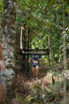 Runner Photo 5264479