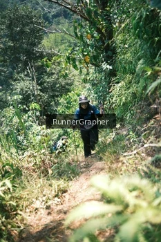 Runner Photo 5264481
