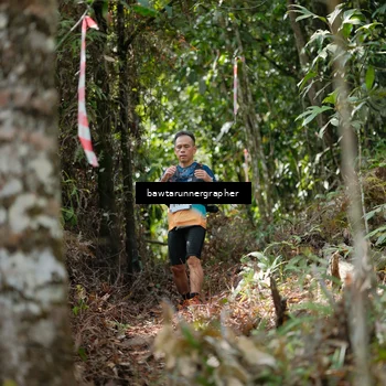 Runner Photo 5264491