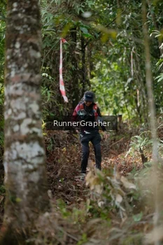Runner Photo 5264528