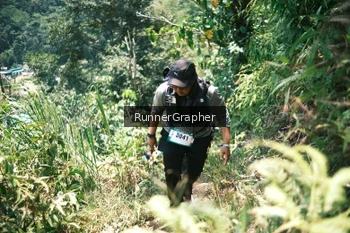 Runner Photo 5264538