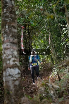 Runner Photo 5264542
