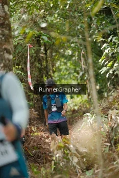 Runner Photo 5264549