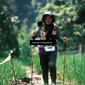 Runner Photo 5264552