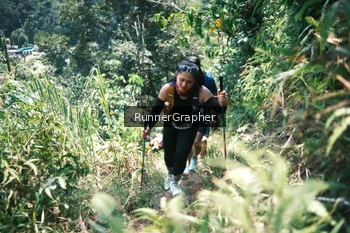 Runner Photo 5264566