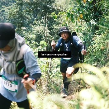 Runner Photo 5264573