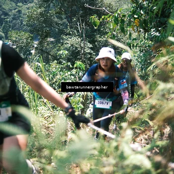 Runner Photo 5264575