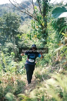 Runner Photo 5264599