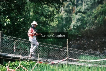 Runner Photo 5264603
