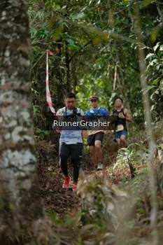 Runner Photo 5264608