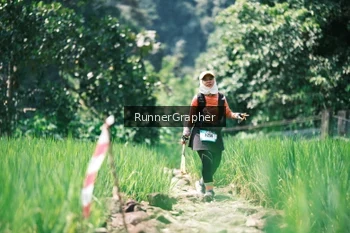 Runner Photo 5264612