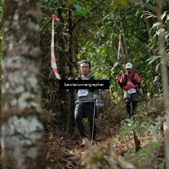 Runner Photo 5264629