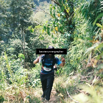 Runner Photo 5264636