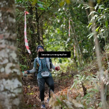 Runner Photo 5264637