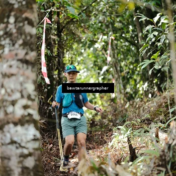 Runner Photo 5264638