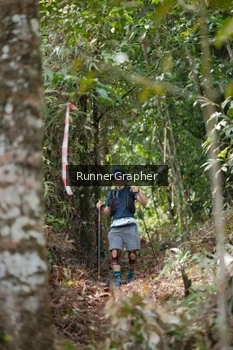 Runner Photo 5264690
