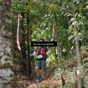 Runner Photo 5264693