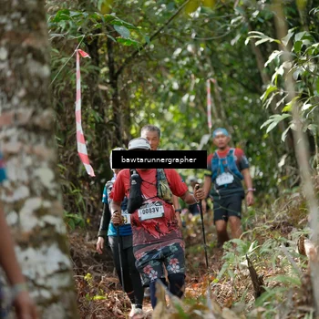 Runner Photo 5264698