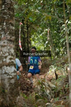 Runner Photo 5264712