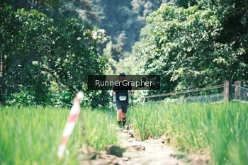 Runner Photo 5264715