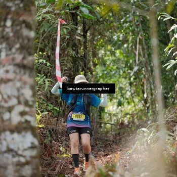 Runner Photo 5264718